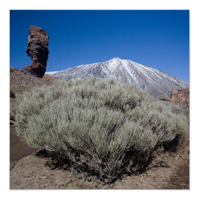 Poster Doigt de God (Devant)