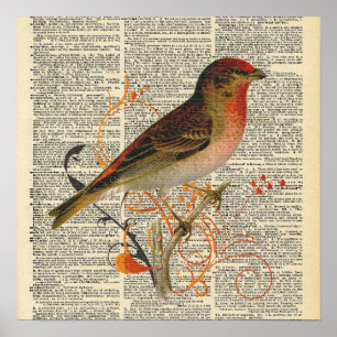 Poster d'oiseaux du dictionnaire vintage