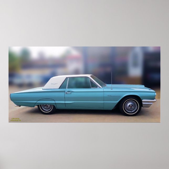 POSTER D'OISEAUX EN T 1965 (Devant)