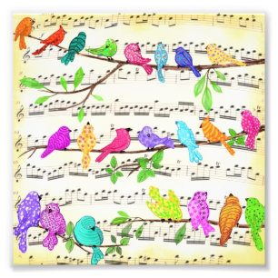 Poster d'oiseaux musicaux colorés