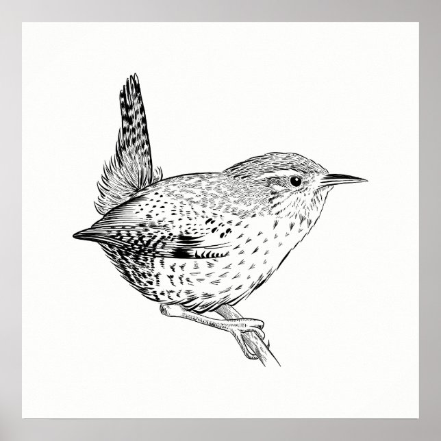 Poster d'oiseaux / OEuvre murale usée (Devant)