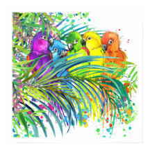 Poster d'oiseaux tropicaux