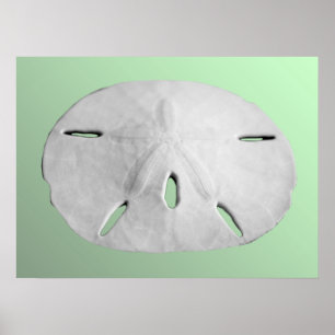 Poster Dollar de sable