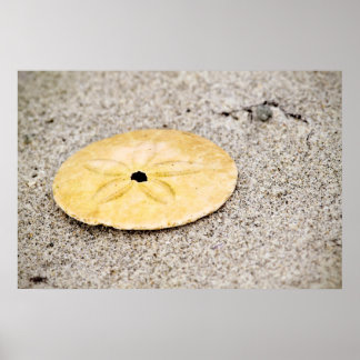 Poster Dollar de sable chanceux
