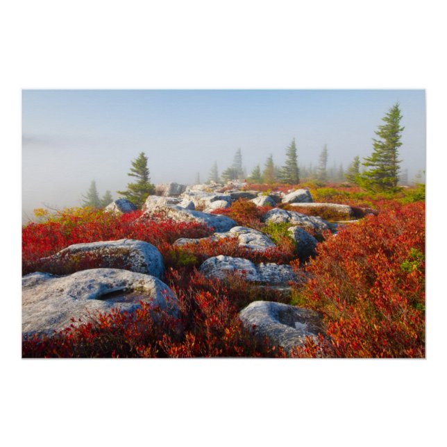 Poster Dolly Sods Wilderness Tombe Pittoresque Avec Fog (Devant)