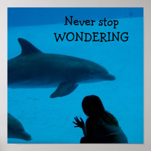 Poster Dolphin and Ocean "Never Stop Wondering"