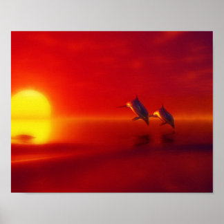 Poster dolphins in the sunset
