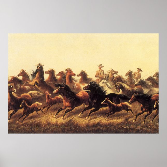 Poster Domptage de chevaux sauvages par James Walker (Devant)