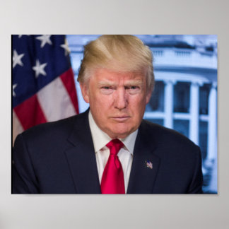 Poster Donald Trump as President