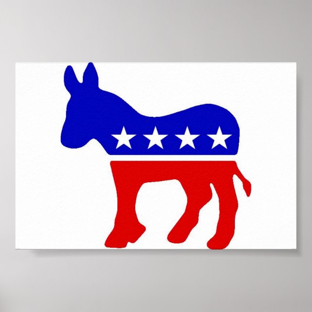 Poster Donkey (Devant)