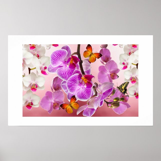 Poster d'orchidées et de papillons (Devant)