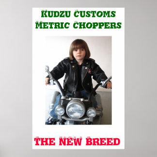 Poster Douanes Kudzu