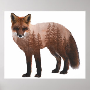 Poster double exposition de la Forêt Fox