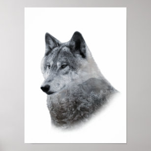Poster double exposition Loup blanc noir