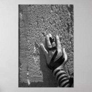 Poster Doven dans le Kotel