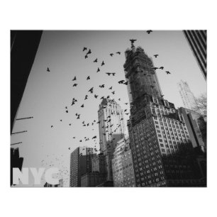 Poster Doves over Manhattan