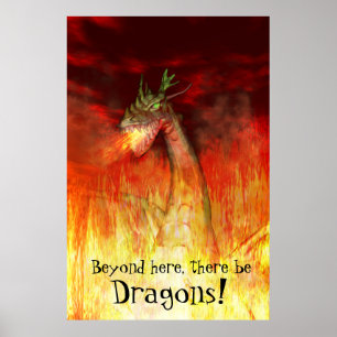 Poster Dragon de feu