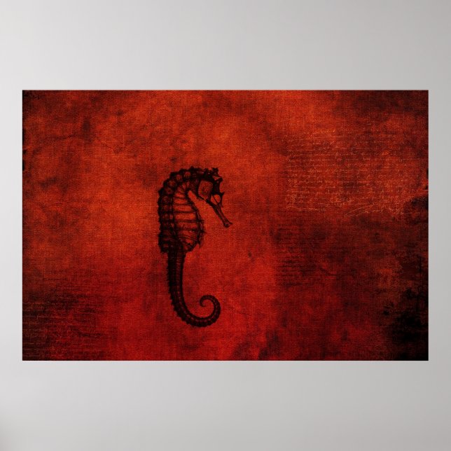 Poster Dragon de la mer Rouge (Devant)