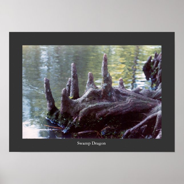 Poster Dragon de marais (Devant)