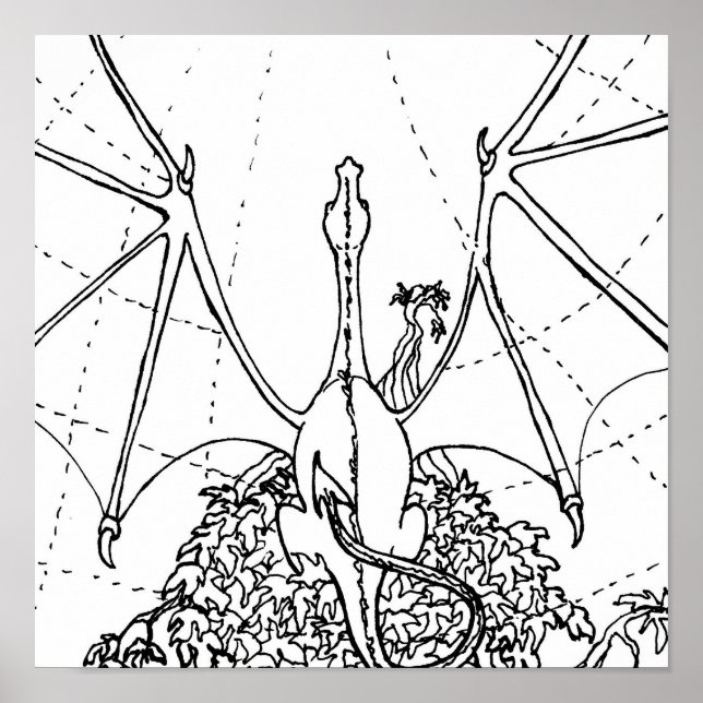 Poster - Dragon Wings (Devant)