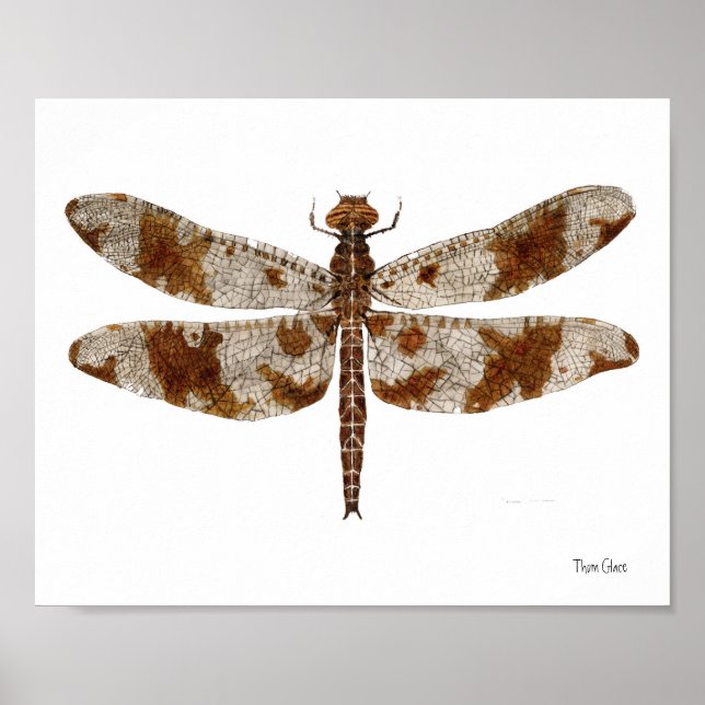 Poster Dragonfly de Skimmer (Devant)