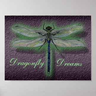 Poster Dragonfly Dreams