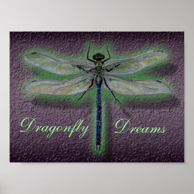 Poster Dragonfly Dreams (Devant)
