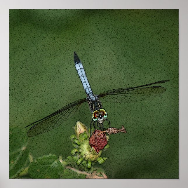 Poster Dragonfly on Flower Photo Art Print (Devant)