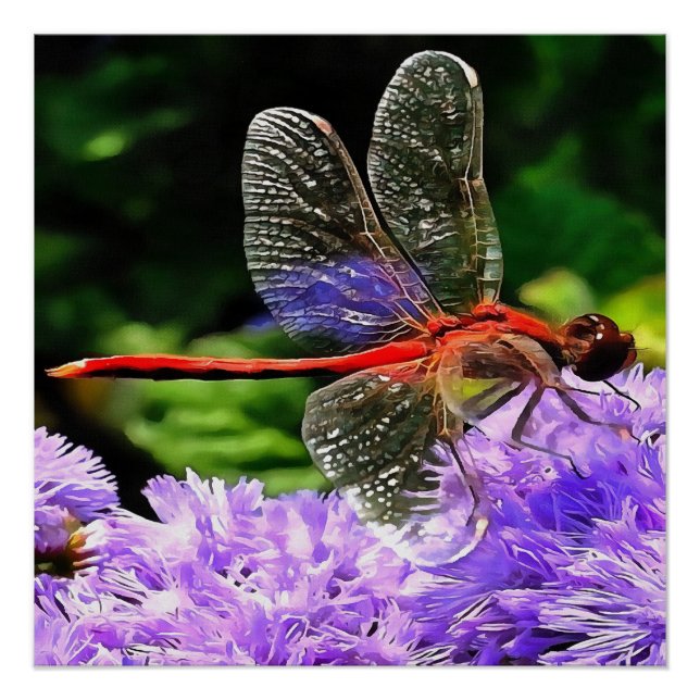 Poster Dragonfly rouge sur Violet Violet Fleurs (Devant)