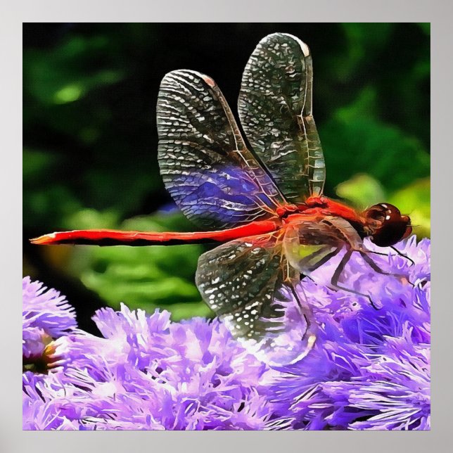Poster Dragonfly rouge sur Violet Violet Fleurs (Devant)