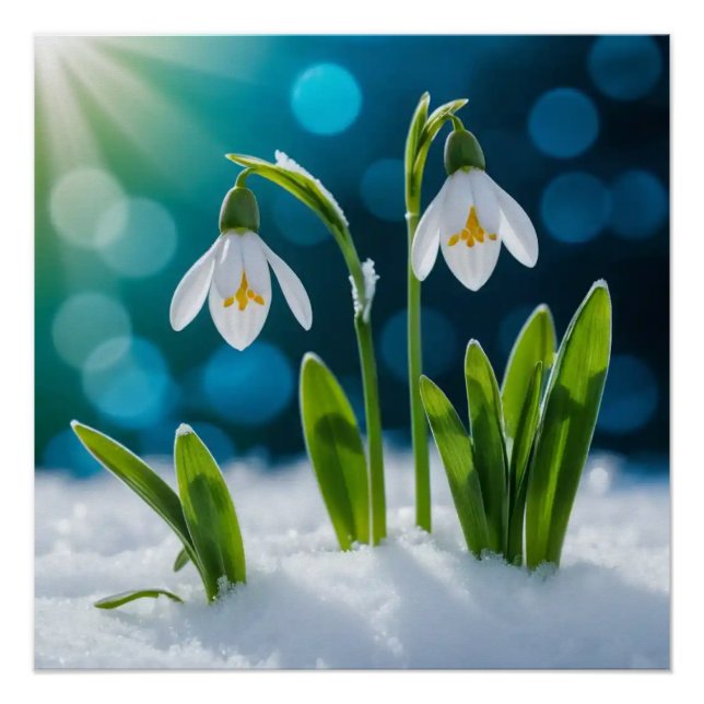 Poster Dragons de neige #1 Wall Art (Devant)