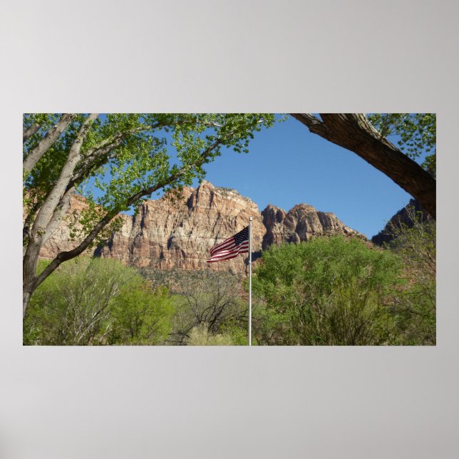 Poster Drapeau américain dans le parc national de Zion II (Devant)