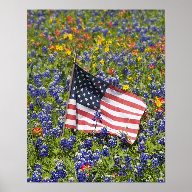 Poster Drapeau américain dans un champ de bleuets, (Devant)