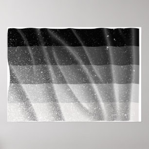 Poster Drapeau arc-en-ciel droit volant -.png