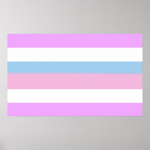 Poster Drapeau de fierté intersexe