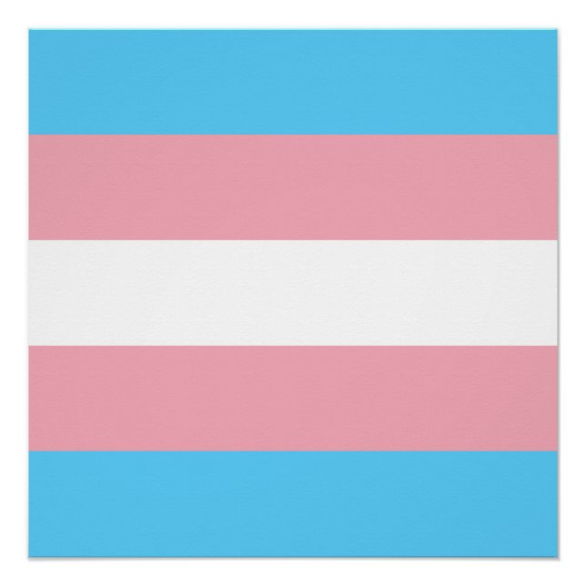 Poster Drapeau de fierté transgenre (Devant)