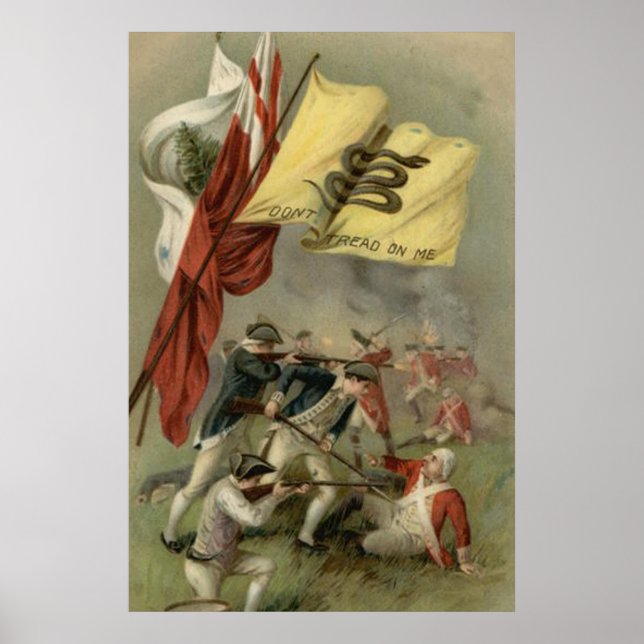 Poster Drapeau de Gadsden Guerre révolutionnaire Bunker H (Devant)
