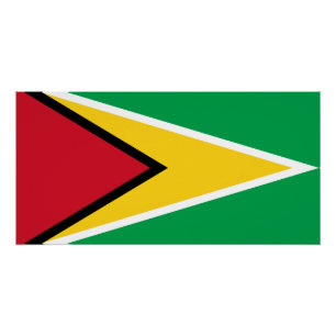 Poster Drapeau de la Guyane
