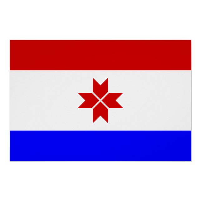 Poster Drapeau de la Mordovie (Devant)