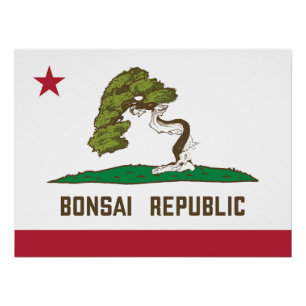 Poster Drapeau de la République de Bonsai