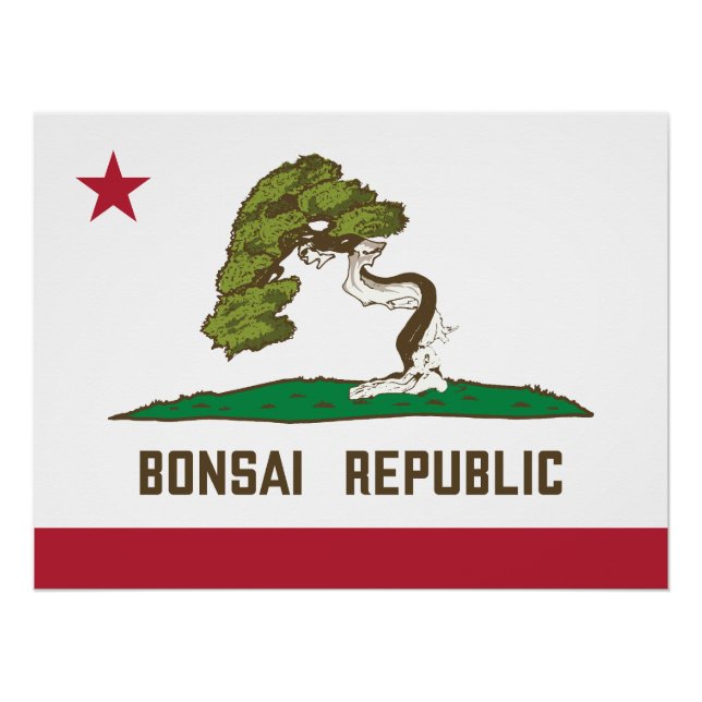 Poster Drapeau de la République de Bonsai (Devant)