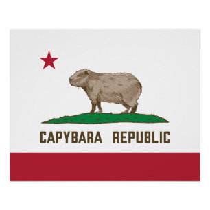 Poster Drapeau de la République de Capybara