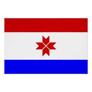 Poster Drapeau de Mordovie