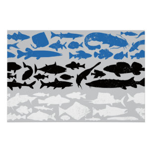 Poster Drapeau estonien fait de poisson - Design de pêche