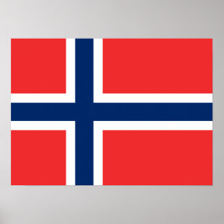 Poster Drapeau norvégien