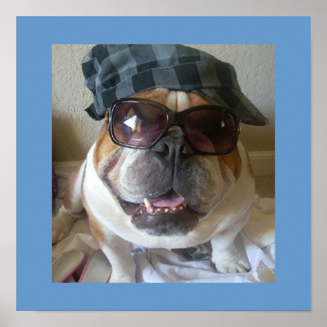 Poster drôle anglais Bulldog (Devant)