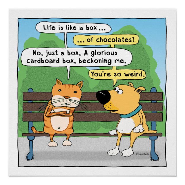 Poster drôle de chat et chien (Devant)