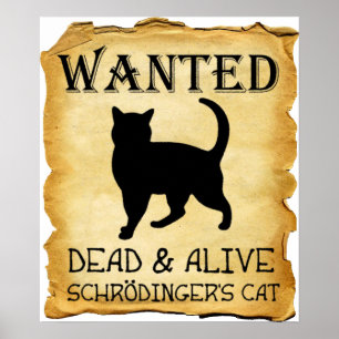 Poster drôle de Shrodinger's Cat Cat