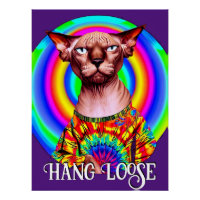 Drôle Hippie Sphynx Chat