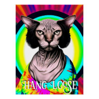 Drôle Hippie Sphynx Chat